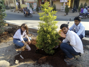 Tree Planatation Drive of SCHMTT Students